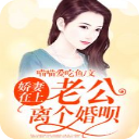 娇妻在上老公离个婚呗app