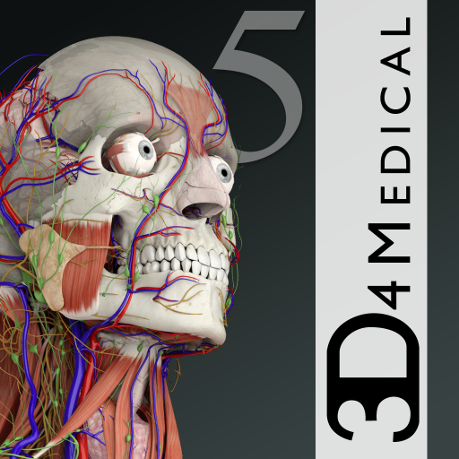 Essential Anatomy 5 破解版(3D人体解剖软件)