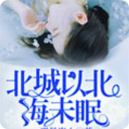 北城以北海未眠app(顾北城苏眠小说)