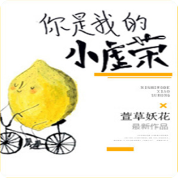 你是我的小虚荣萱草妖花小说大结局(时穆司茵小说)