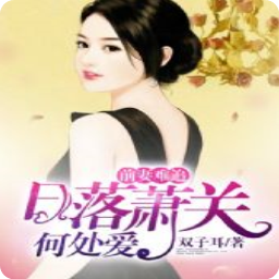 前妻难追日落萧关何处爱阅读(萧关爱何处洛结局)