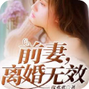 前妻离婚无效app(霍城安莫小夕小说)