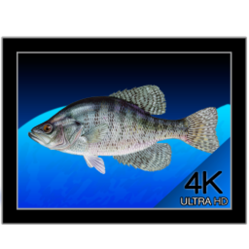 Aquarium 4K for mac(海洋水族馆视频)