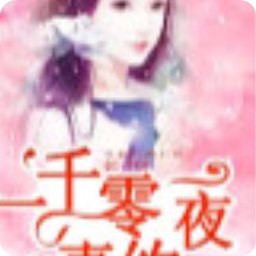 一千零一夜妻约(作者夜笙歌)