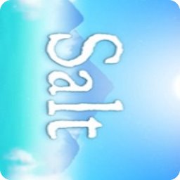 salt四项修改器v2.0