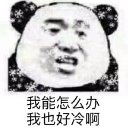 熊猫文字表情包