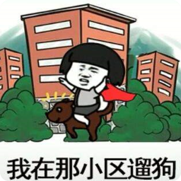 抖音我在那小区遛狗表情包(我在那小区遛狗表情图片)