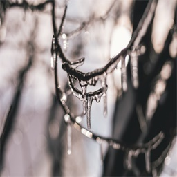 唯独你无可替代(夏紫曦、穆景天)小说最新免费阅读章节