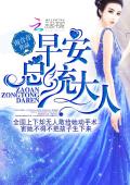 早安总统大人(夏星辰 白夜擎)小说第15至16章节完整版阅读