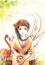 我的迷人小娇妻(叶寒、楚知音)小说在线免费阅读章节