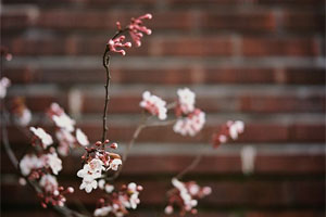 都市之打脸高手(李岩、刘萧萧)小说最新章节在线阅读